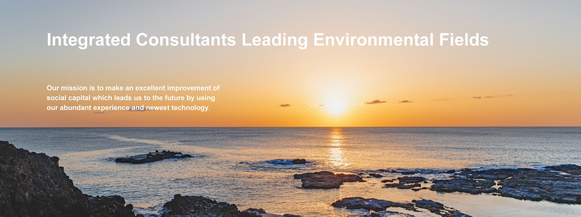 Integrated Consultants Leading Environmental Fields