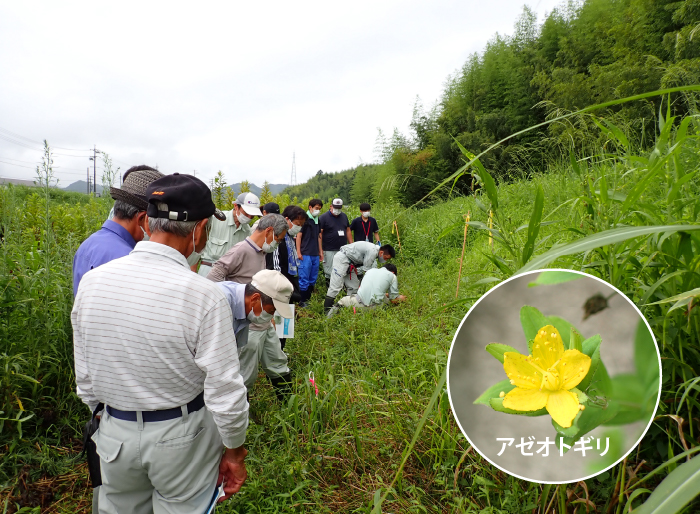 花の観察会実施状況