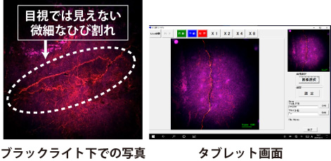 ブラックライト