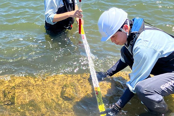 槇尾川における河川構造物の点検業務