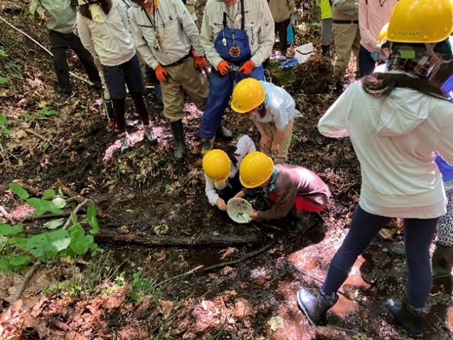 南区：ニホンザリガニ生息調査（6月15日）
