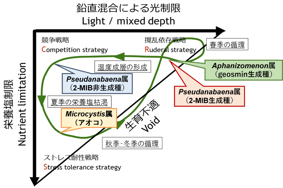 出現傾向と環境要因の分析