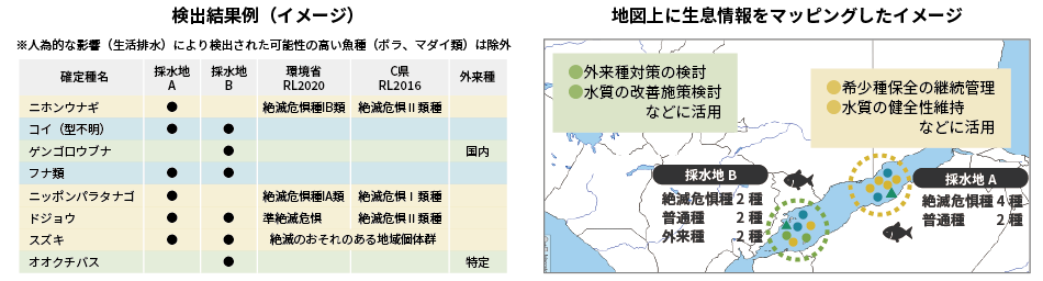 DNAメタバーコーディング