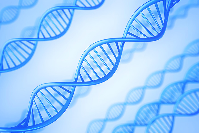 環境DNAイメージ