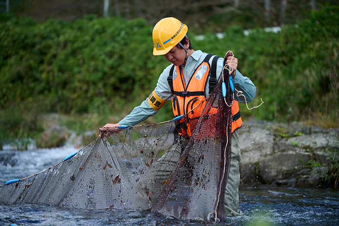 環境DNAイメージ