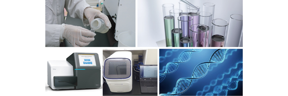 環境DNA専⽤の管理された分析室で、高性能機器による分析を実施