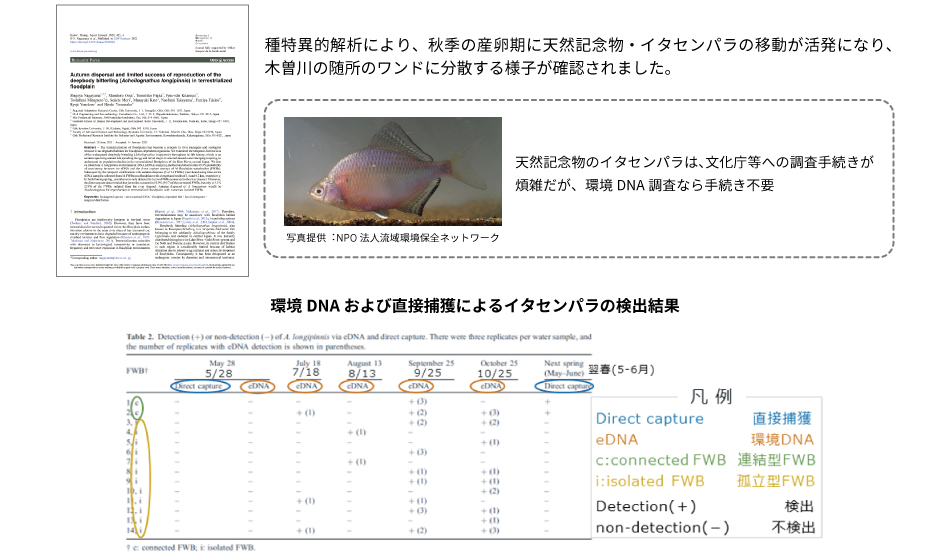 当社の環境DNA分析結果を使った永山先生の研究論文