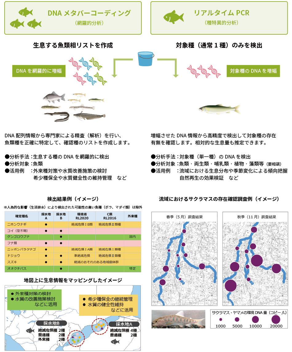 環境DNA分析サービス概要