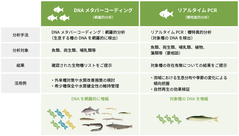 環境DNA分析サービス概要