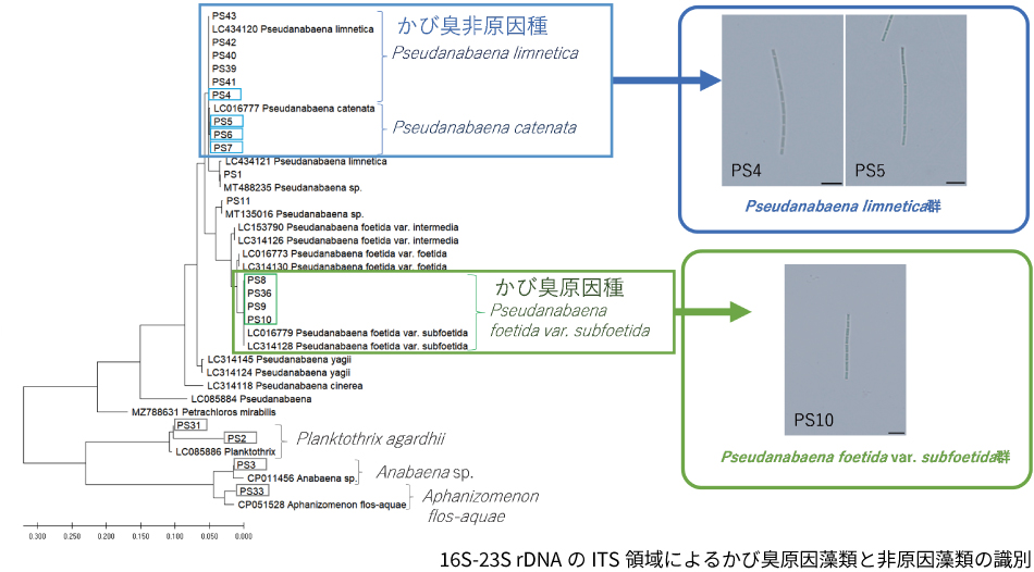 種特異的解析結果の事例