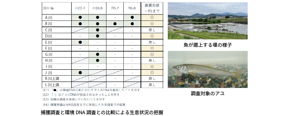 河川改修後の生息生物のモニタリング