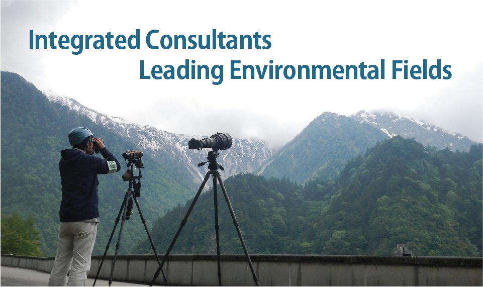 Integrated Consultants Leading Environmental Fields