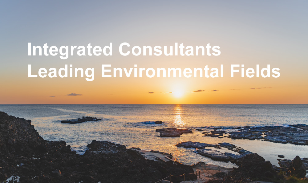 Integrated Consultants Leading Environmental Fields