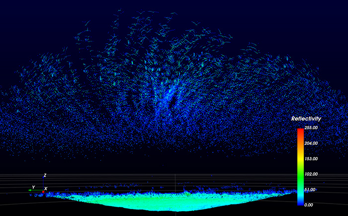 高性能センサー「LiDAR（ライダー）」による渡り鳥の点群データ