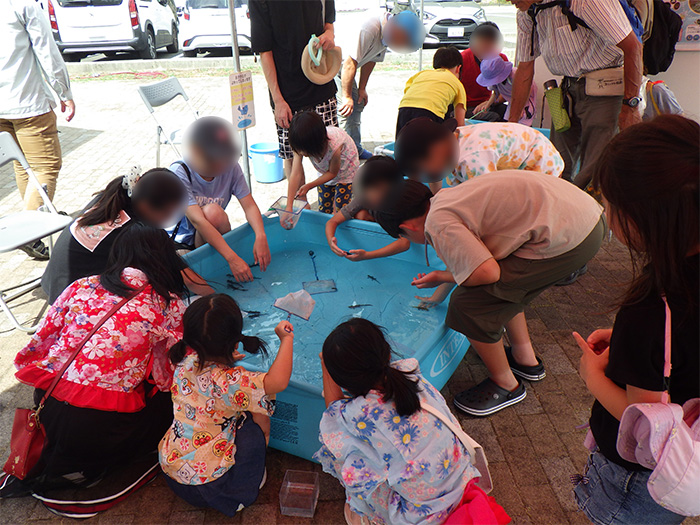 生き物との触れ合い体験の様子(魚類)