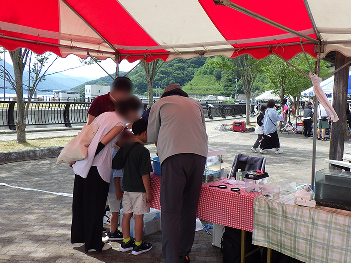 底生動物展示の様子(カゲロウ、カワゲラ、トビケラ、ヤゴなど)