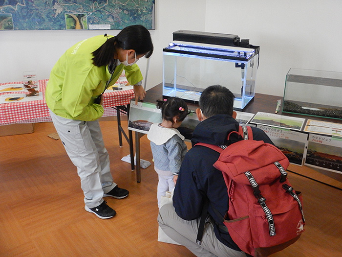 生き物の触れ合い体験の様子（魚類）