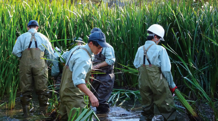 ビオトープの維持管理作業