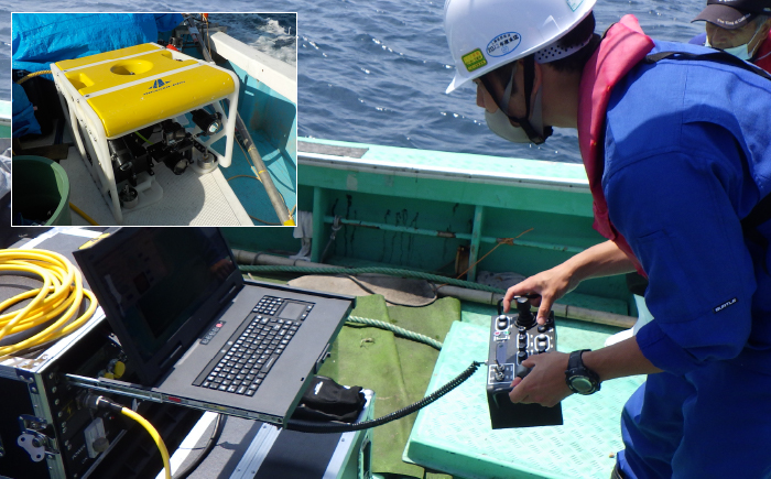 遠隔操作型無人探査機（ROV）を使用した現地調査の様子